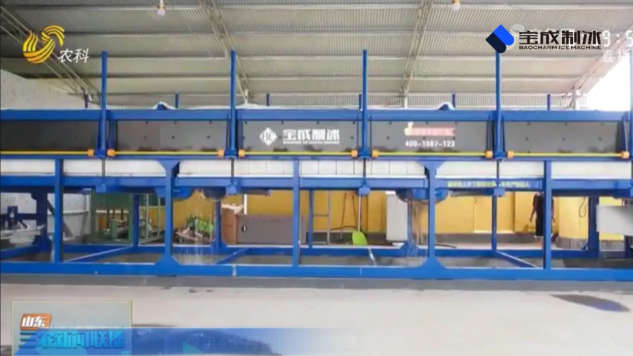 50 ton ice machine ice maker machine 20 ton