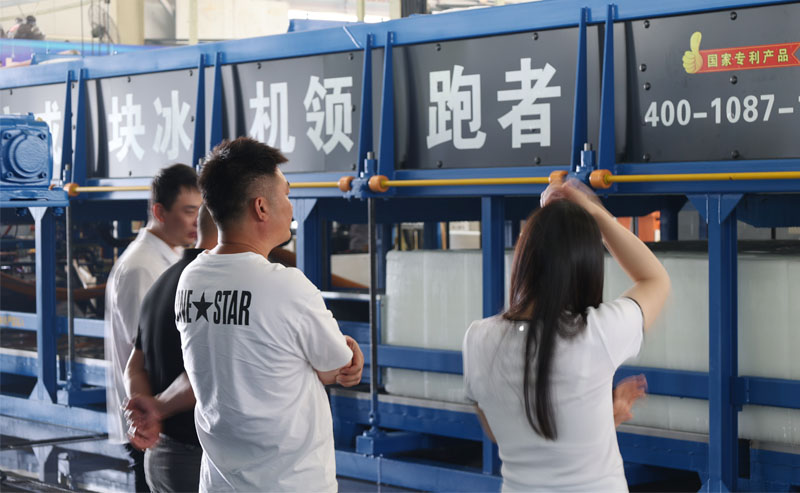 Customer Case ice making plants