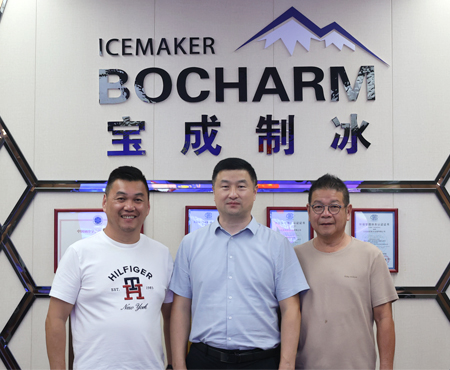 Duas máquinas de produção de blocos de gelo com capacidade de 10 toneladas diárias na Malásia