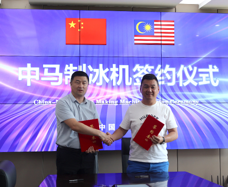 Máquina de gelo em bloco confiável com capacidade de produção diária de 15 toneladas para a Malásia.