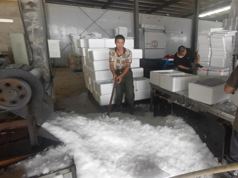 Maximize a eficiência e preserve o frescor: o poder das máquinas de gelo em bloco e dos trituradores em ambientes aquáticos.