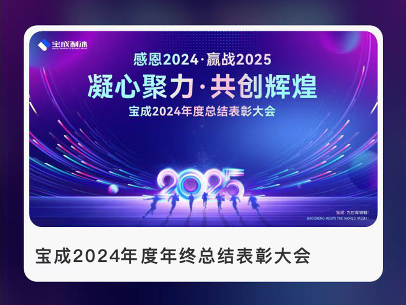 Máquina de Gelo BAOCHARM: Resumo e Celebração de Reconhecimento de 2024