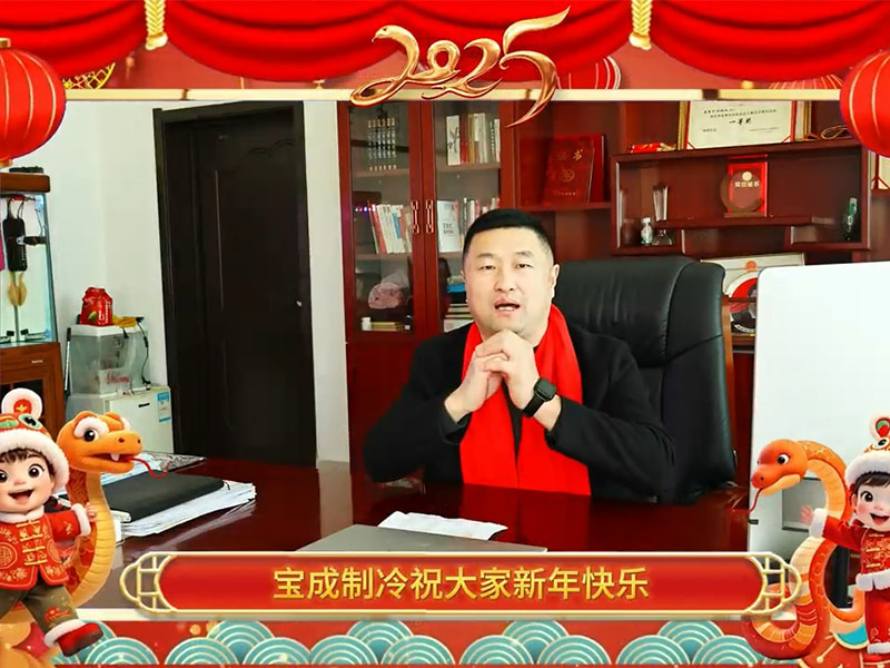 A equipe de liderança da BAOCHARM Ice Machine deseja a você um próspero Ano Novo.