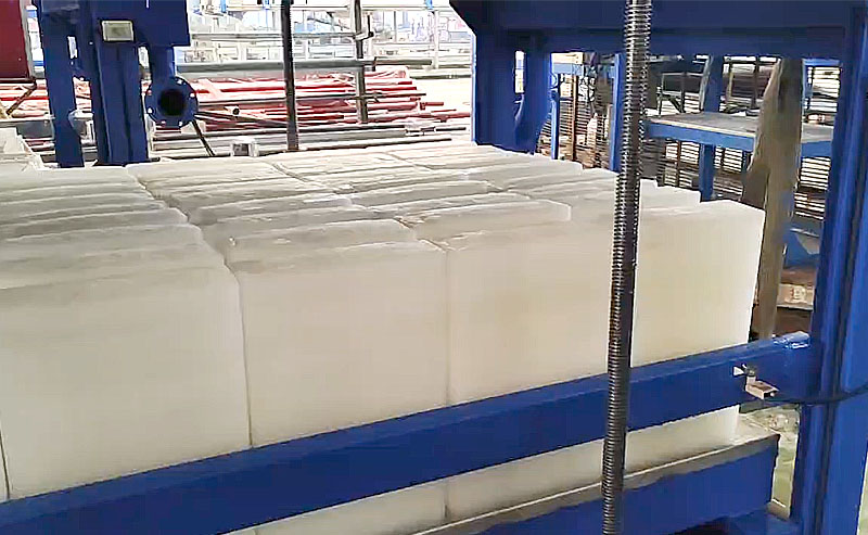 Customer Case ice plant manufacturers