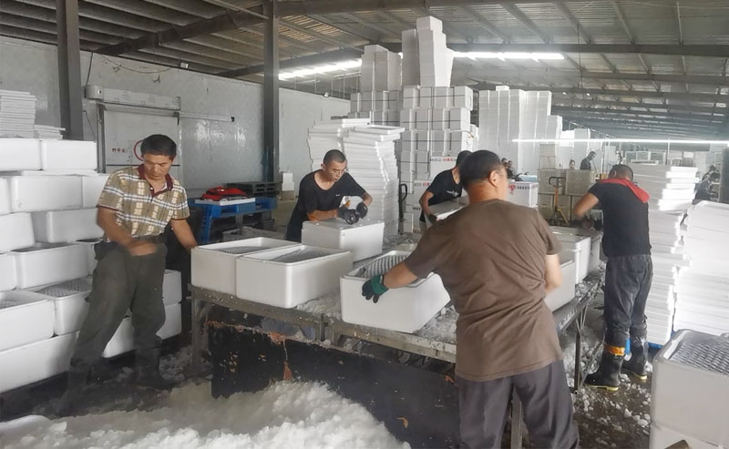 Block Ice Crushing and Packing for Vegetables block ice crushing and packing for vegetables