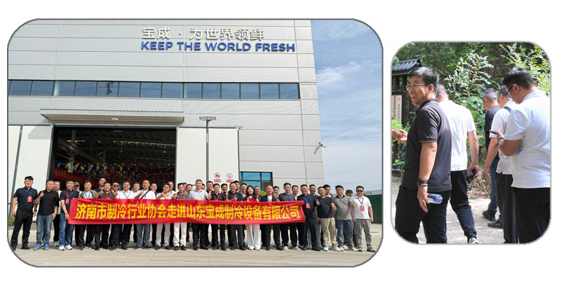 BAOCHARM Ice Machine Manufacturer